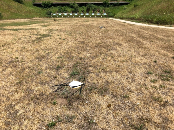 1532026752_4084258475b50df80321962.53623782_fallen.jpg