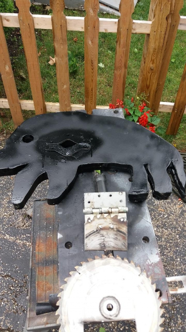 1532275491_13524514905b54ab23983104.47044571_Boar 3.jpg