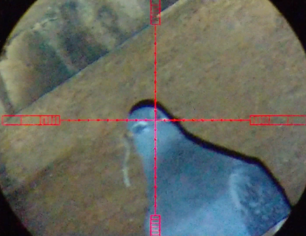1533055723_11303350555b6092eb2786a1.92403325_Screenshot_20180731-124148.png