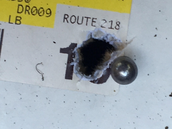 1533092601_16150334925b6122f9c57309.63818060_2018-07-25 18.23.21.jpg