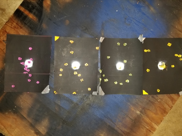 1533404721_3428762705b65e631060de5.96468135_20180804_130822.jpg