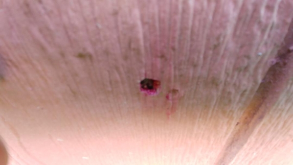 1533943885_8428240945b6e204deccf08.97358708_thumbnail.jpg