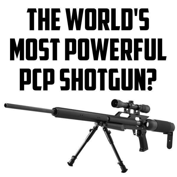 1534766617_14120357715b7aae190ea105.56009461_PCPShotgun.png
