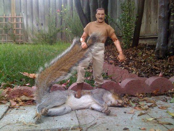 1534972520_4644807765b7dd2683bc414.32798274_Squirrel.jpg