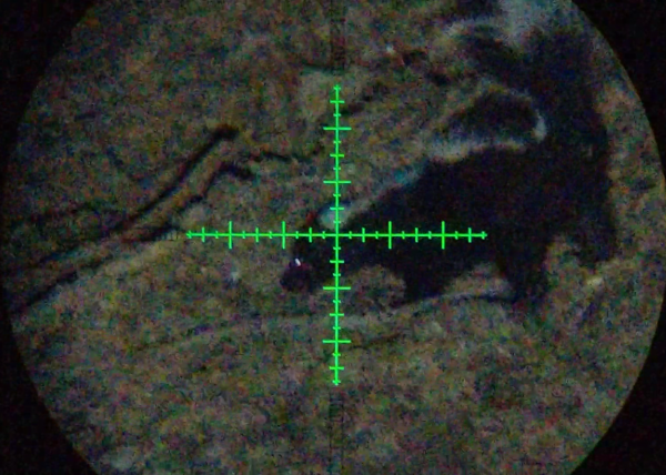 1534998048_2387539865b7e3620ee2286.72417201_Screenshot_20180822-235843.png