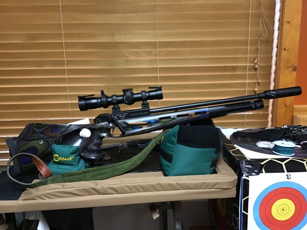 1535150769_18357386735b808ab1a74e69.92733755_Steyr March Sight In FUll.jpg