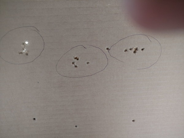 1535152339_7208265645b8090d3d103a0.79928423_contraption target.jpg