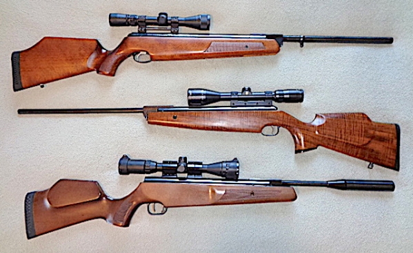 1535226041_2322502835b81b0b98e1864.42345376_Euro Springers.JPG
