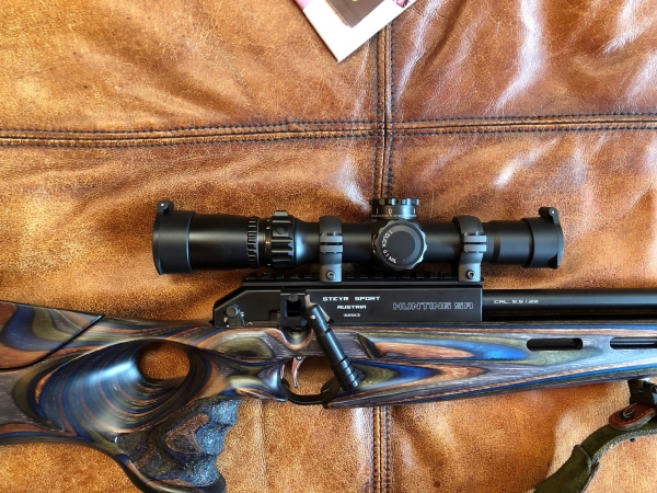 1538709875_18637110015bb6d973020950.67855601_Lower March on Steyr.jpg