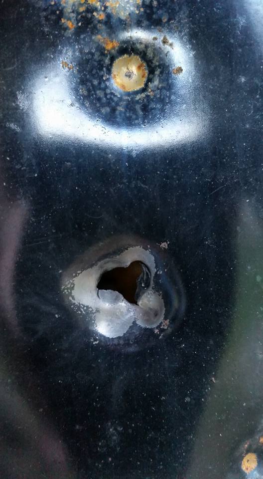 1538852429_15821934335bb9064d577771.01638697_nine shots cricket pup 50 yds.jpg