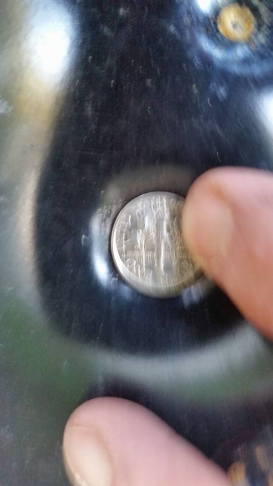 1538852549_4607621845bb906c5371eb9.77376740_nine shots cricket pup dime.jpg