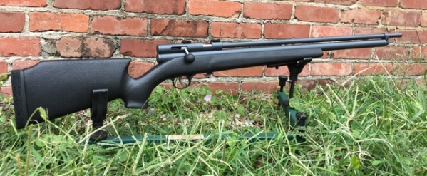 1539319518_1282422085bc026de4a0c45.61127362_Pro-Classic Oblique rear.jpg