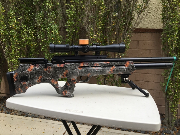 1540490683_20273780855bd205bb127308.92458405_Bobcat dip-1.jpg