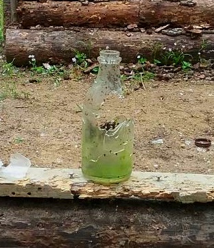 1540587465_12990134105bd37fc9e616d8.91084143_Bottle shot 50 yards.jpg