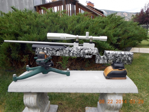 1541078387_15466919685bdafd739cba83.64064767_4-8 silver gun.jpg