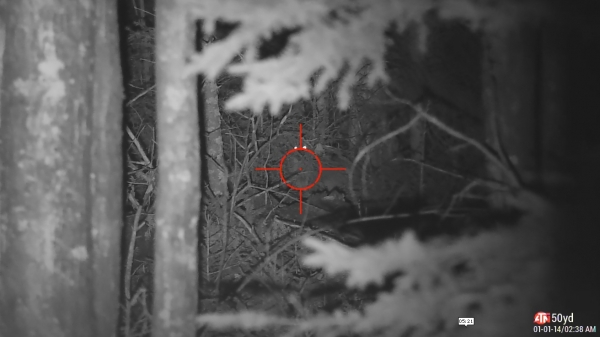 1541478712_7422183465be119385a1544.62653527_coyotekillshotstill.jpg