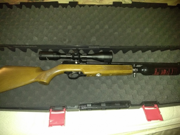 1542212748_17009623685bec4c8c67f2d4.09161989_varmint.jpg