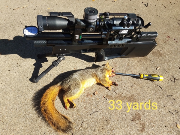 1542225826_17276967935bec7fa26c4a71.69943000_20181114_113520.jpg