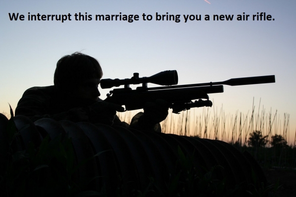1542283462_3379169945bed60c6822572.31202891_Marriage Interruption.jpg