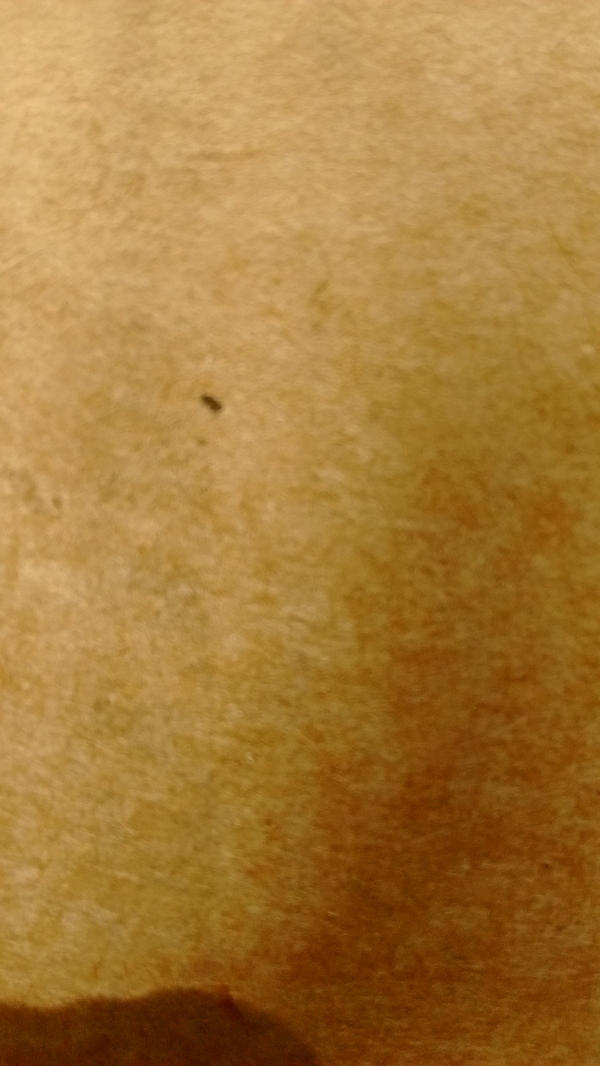 1542869906_9366889115bf65392844ca7.24991220_IMG_20170813_150438585.jpg