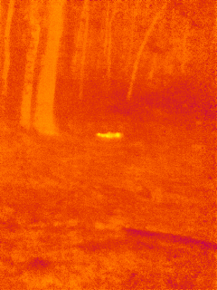 1543159508_5365022815bfabed466b677.98468463_IMGT0007.PNG