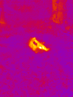 1543159535_3721445605bfabeefaab5f4.87782580_IMGT0002.PNG