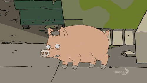 1543316010_7354414665bfd222a7f7ba9.73654995_pigs_fly.gif