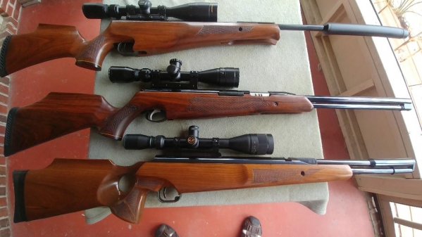 1543774370_848575255c0420a29ec735.65076854_tx200.jpg