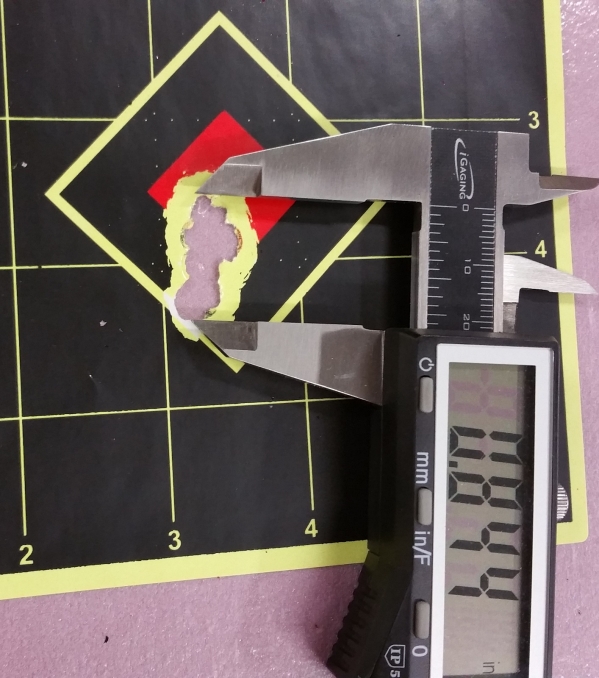 1543877337_9078592535c05b2d9a0f386.14182421_100fpe .jpg