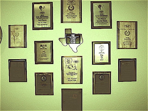 1544387117_1412239985c0d7a2da64c47.09964820_Champion trophies.jpg