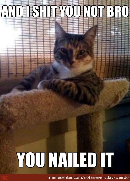 1544665275_1272412605c11b8bb05b309.98264780_you-nailed-it_o_2519931.jpg