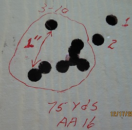 1545082550_12824007525c1816b65768c9.37334645_Sig 75 yd with 1 in. size.jpg