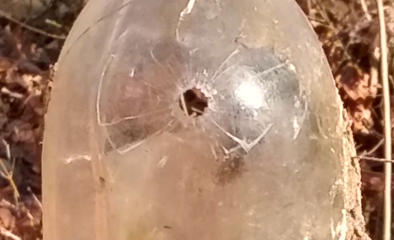 1545596699_3406361875c1fef1bb24647.86245216_BottleShot2.png