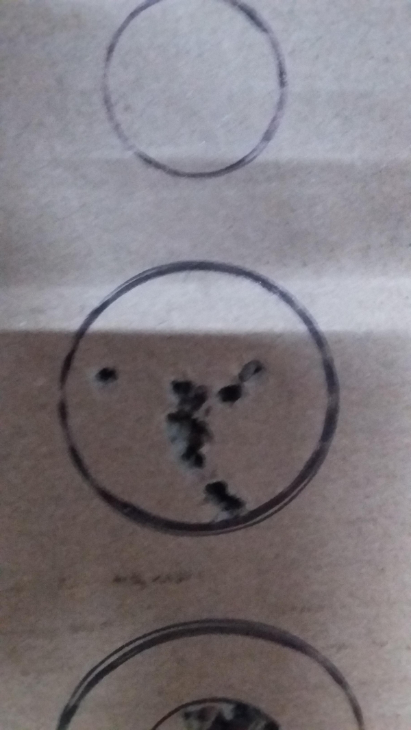 1545861494_7309308965c23f97609e686.97135726_20181221_110450.jpg