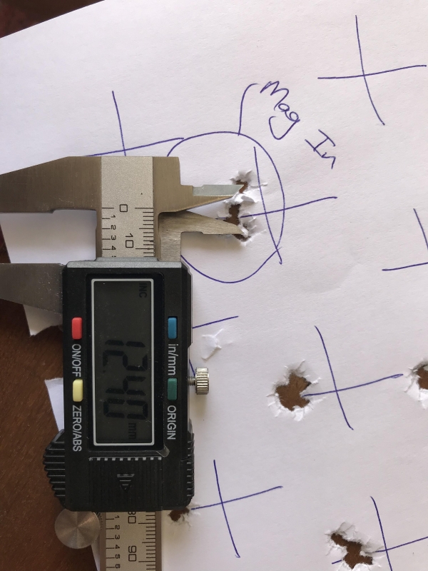 1546679105_7845674885c307341bca6e6.60501170_2F9B32D2-F156-4918-B877-9F887E994389.jpeg