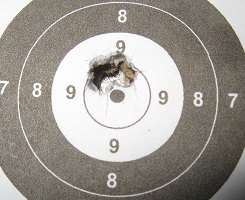 1546735017_3987381275c314da93cb789.87926537_1-5-19 target2.jpg
