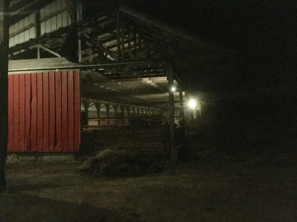 1547342161_11313981185c3a91518a53f6.61202471_2nd dairy_a1.jpg