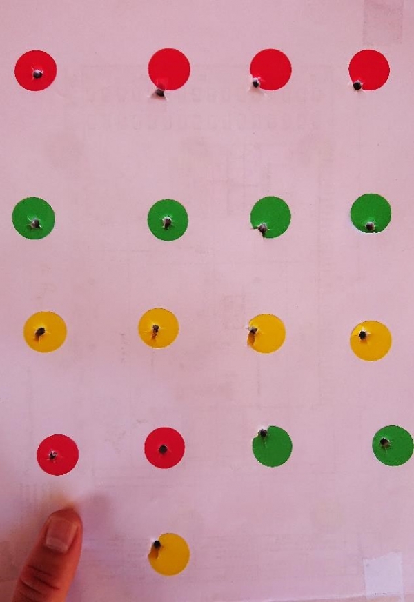 1547846369_17172677505c4242e11a8743.83908451_Picture1.jpg