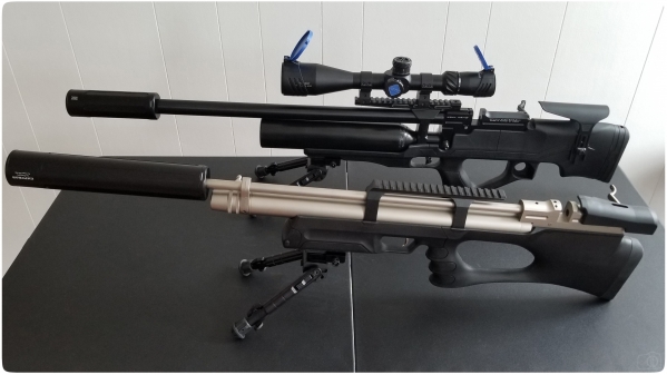 1547960859_14335771565c44021be52ce3.42131819_DonnyFL Emperor Mod Rifle Swapped.jpg