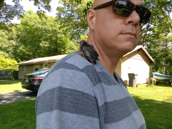 1548167833_13892830805c472a99cc0f08.27014242_key colony fl 178.jpg