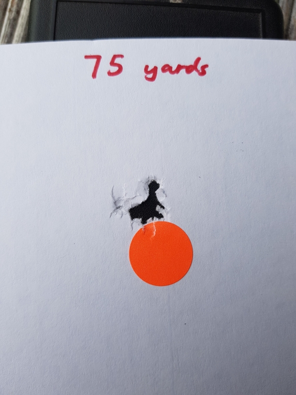 1548544943_14027905835c4cebaf8d4d67.51982689_20190127_091607.jpg