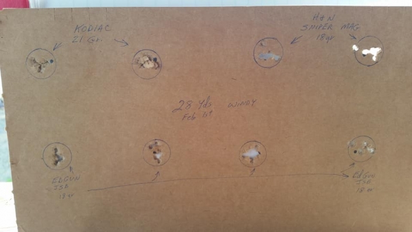 1549092398_15508959565c55462e61db18.96315039_Kodiaks, H&N sniper, Edgun Jsbs.jpg