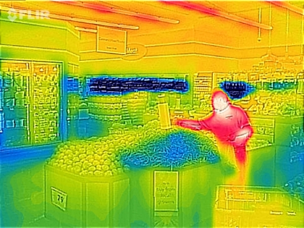 1549164589_12362498785c56602d7d9df4.32329972__new-thermal2.JPG