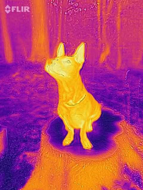 1549164589_14366678725c56602d354072.62467484__new-thermal.JPG