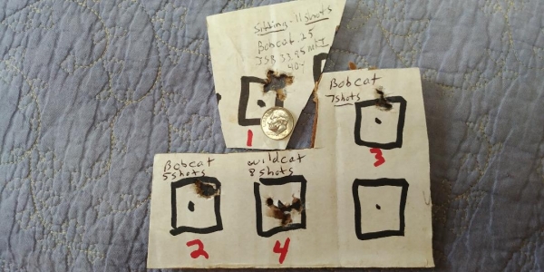 1549289959_10005258915c5849e72a17d2.69939498_wild bob targets.jpg