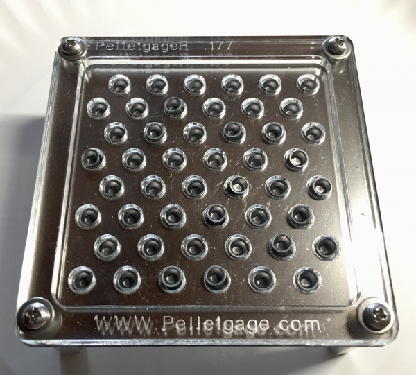 1549653252_8862970555c5dd504a05935.87393823_AAPGR.JPG