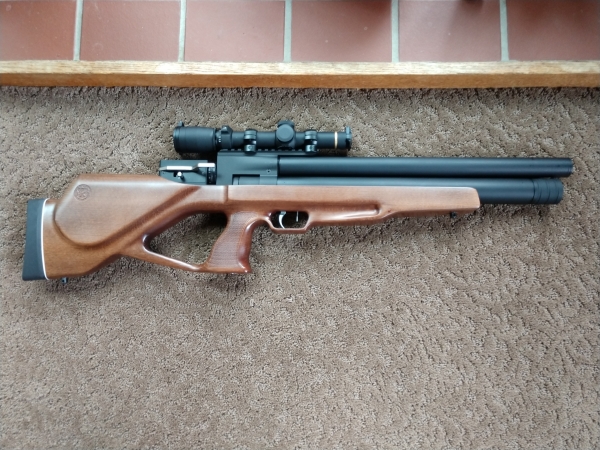 1550368562_10405880965c68bf32d2a921.02371929_Kalibrgun cricket1.jpg