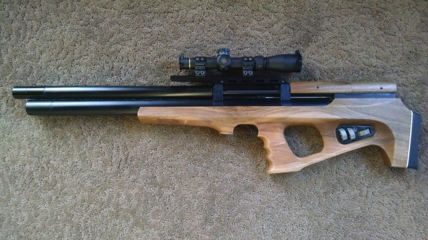 1550369600_7404136535c68c3406cc1b3.76133578_Wildcat~02.jpg