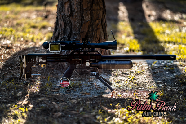 1550613457_6754988055c6c7bd1c68a11.04653915_FX-Impact-X-.22-Sniper-AGN.png