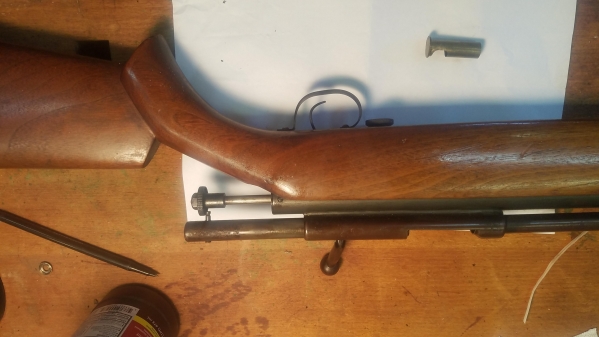 1550958168_20918537965c71be58419a60.13622869_Air rifle action LS.jpg
